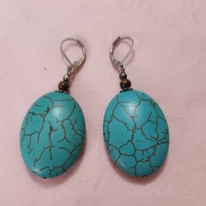 Turquoise Marbled Oval Earrings